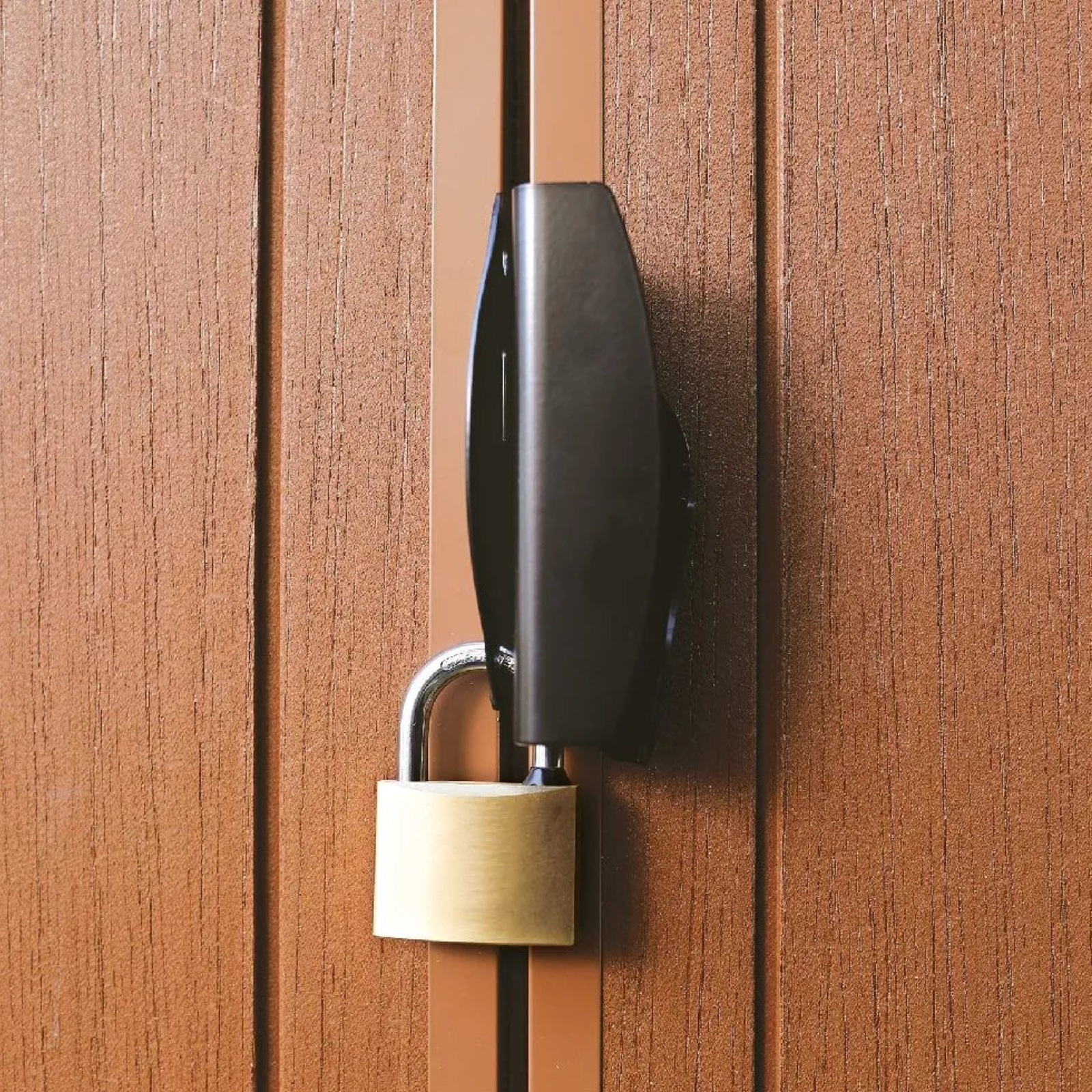 Casetta da giardino con pannelli Evotech finitura effetto legno - Darwin 6x6