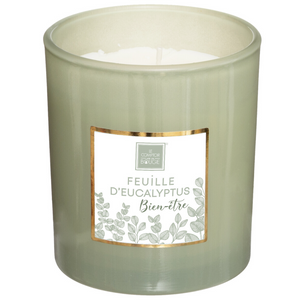 Candela profumata profumatore per ambienti con giara in vetro durata 40 ore