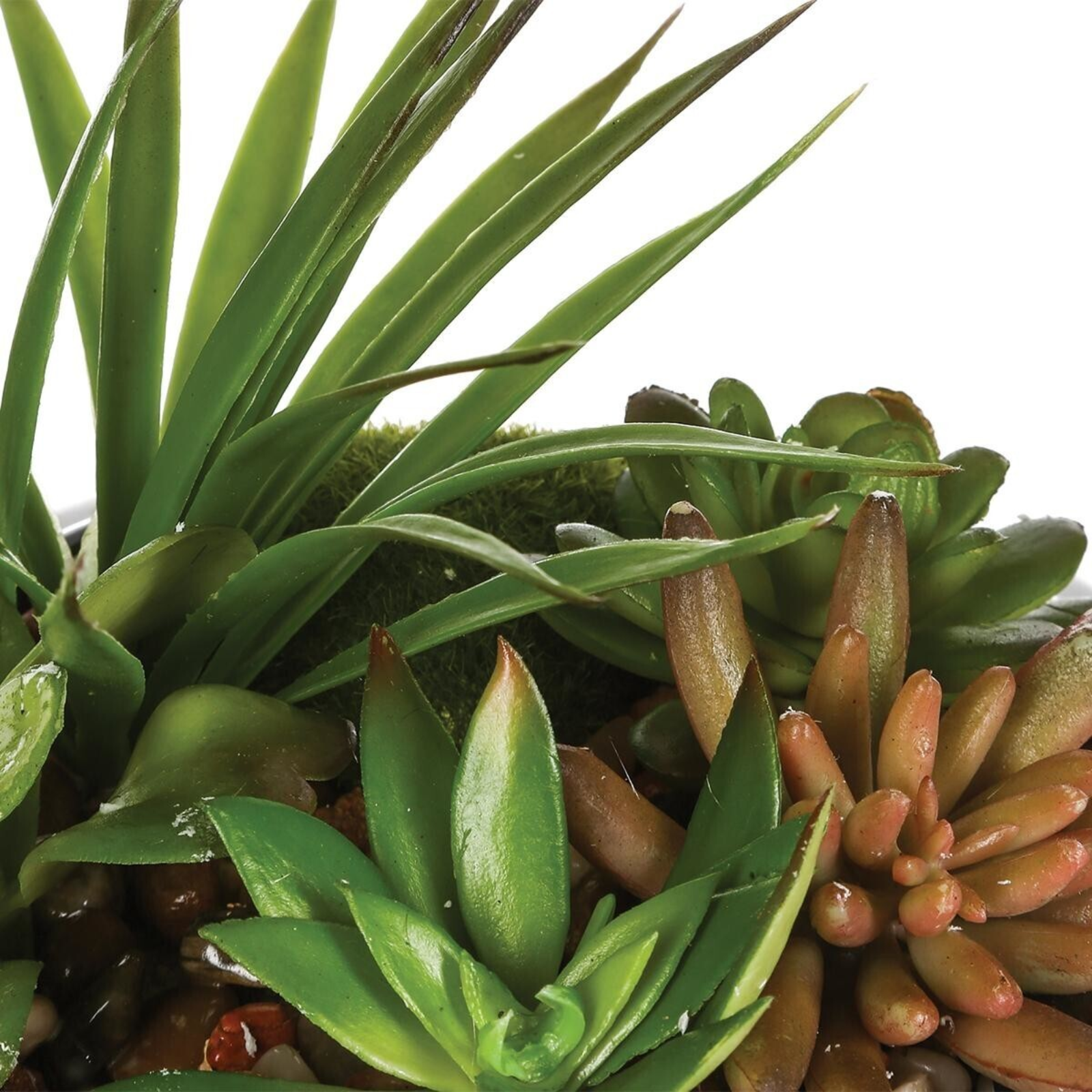 Pianta decorativo per interno artificiale vaso in ceramica H 17 cm