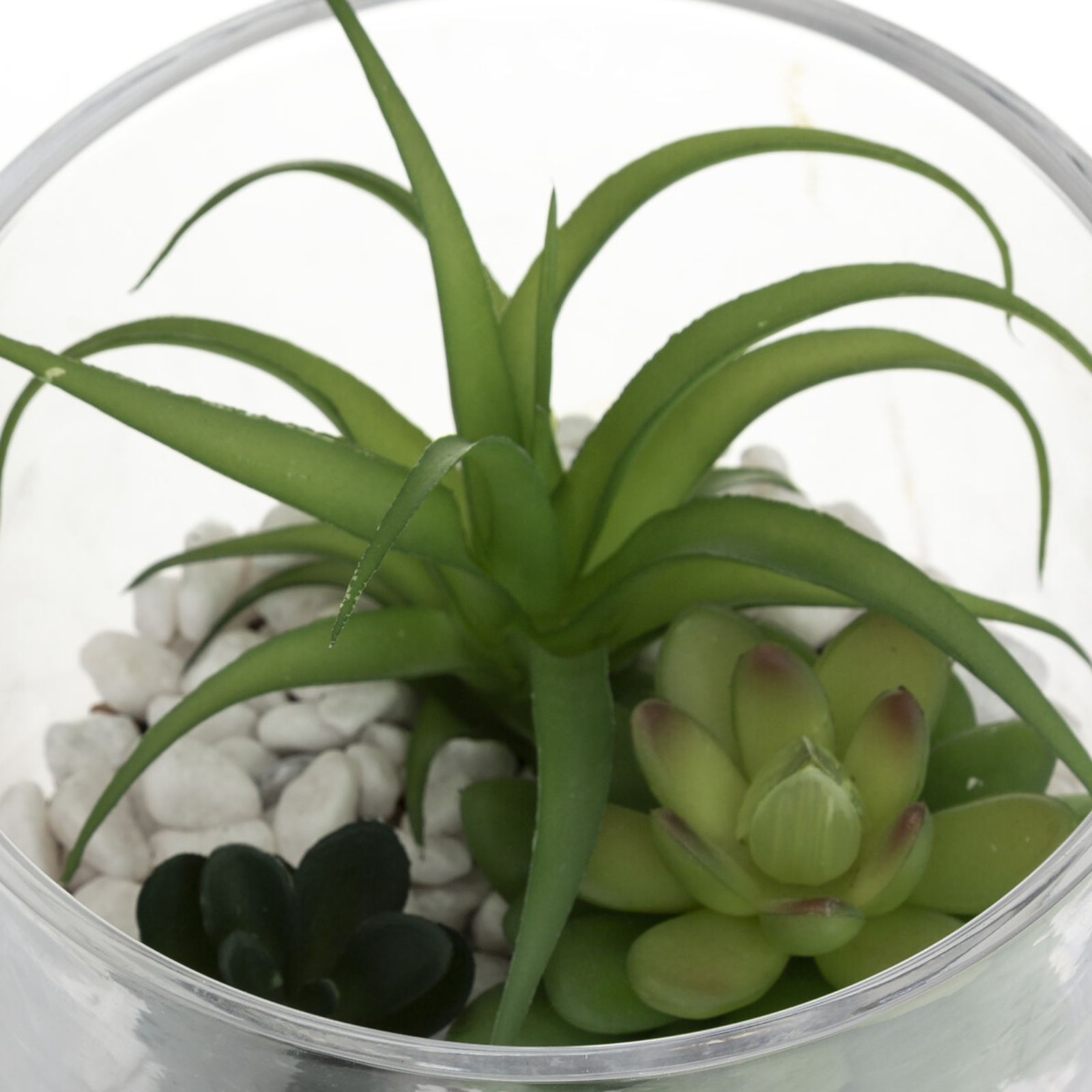 Pianta decorativa artificiale per interno con vaso in vetro H 16 cm