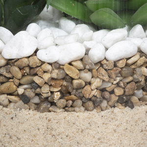 Pianta decorativa artificiale per interno con vaso in vetro H 16 cm