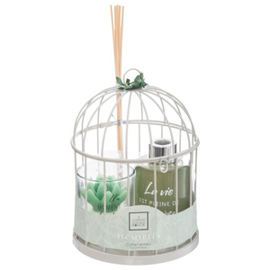 Profumatore per ambiente eucalipto con gabbia in metallo e candela in vetro - Zen