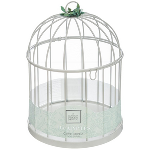 Profumatore per ambiente eucalipto con gabbia in metallo e candela in vetro - Zen