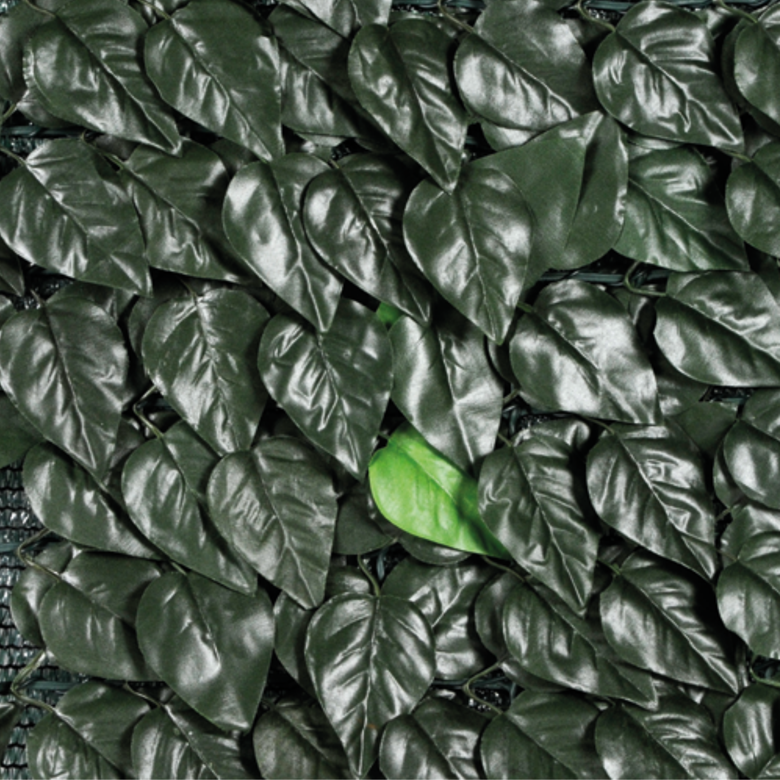 Siepe artificiale con fogli di lauro e rete ombreggiante sul retro ideale per esterno