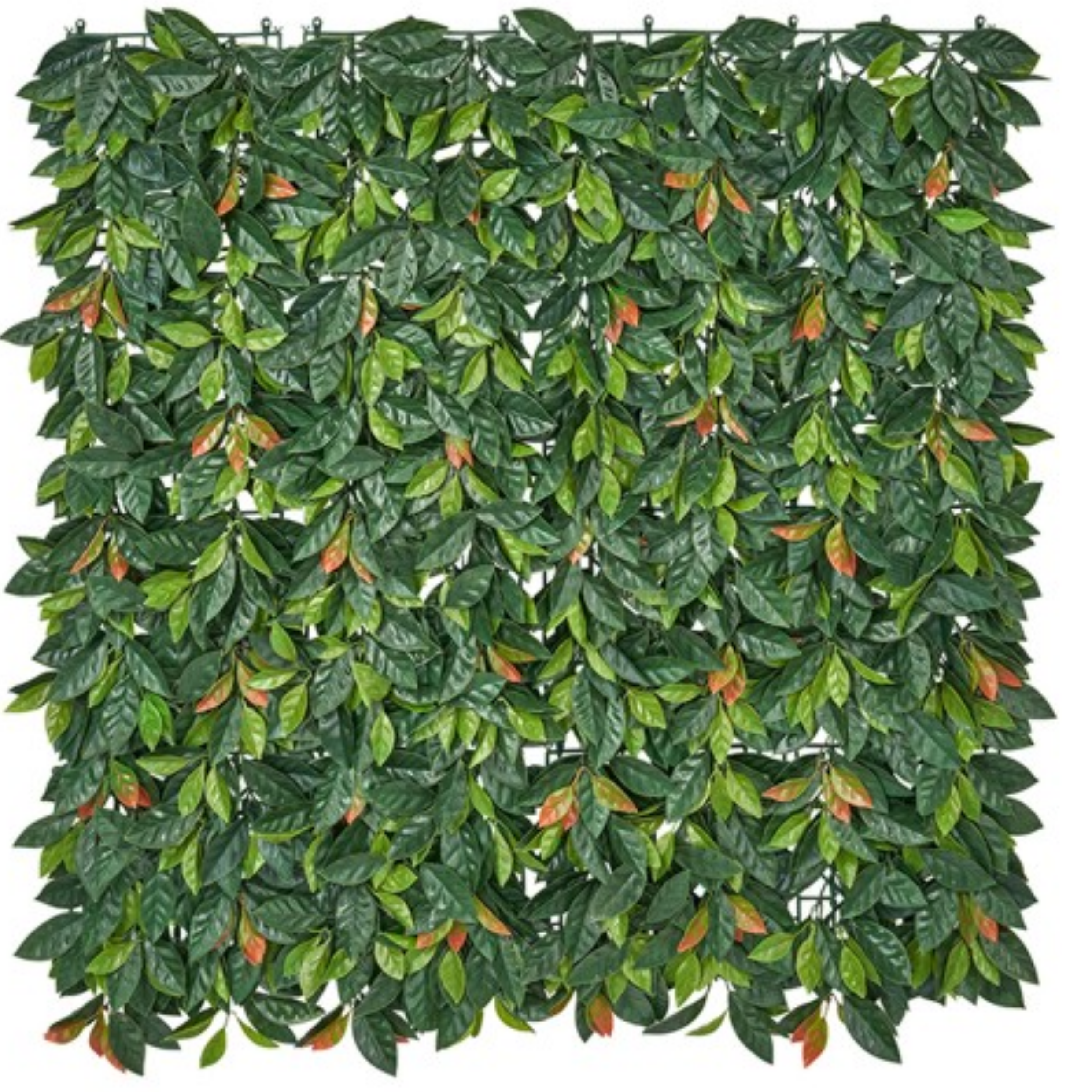 Siepe Artificiale foglie di photinia 1x1 MT ideale per ambienti esterni o interni