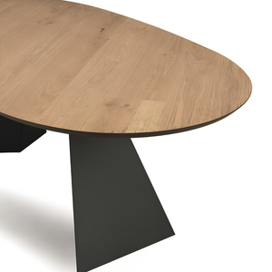 Tavolo da pranzo moderno 210x75h piano in rovere impiallacciato ovale e base in metallo nero - Aris